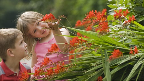 A young boy and girl looking at red flowers in the garden at Erddig, Wrexham, Wales
